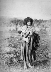 Ani - Taumaranui, King Country